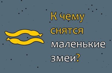 Як розшифрувати сон про маленьких змій — 34 значення
