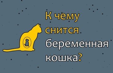 Як трактувати сон про вагітну кішку — 40 точних значень сну