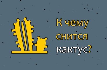Як тлумачити сон про кактус — 33 докладних значення