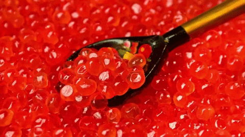 Як трактувати сон про червону ікру — 37 вірних значень Як трактувати сон про червону ікру — 37 вірних значень