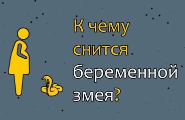 Як трактувати сон про змію для вагітної — 10 значень Як трактувати сон про змію для вагітної — 10 значень