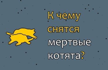 Що значить сон про мертвих кошенят — 32 тлумачення