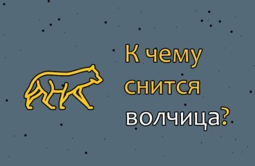 До чого сниться вовчиця — 31 тлумачення сну
