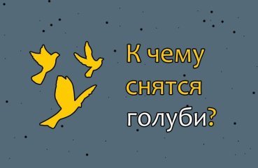 Як розшифрувати сон про голубів — 42 популярних значення