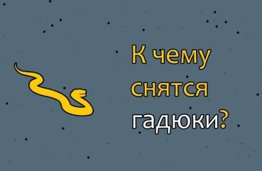 Як трактувати сновидіння про гадюк — 42 значення