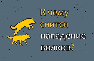 40 значень сну про напад вовків