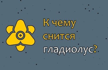 До чого сняться гладіолуси — 30 точних значень по сонникам