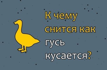 До чого сниться гусак, який кусає — 41 тлумачення сну До чого сниться гусак, який кусає — 41 тлумачення сну