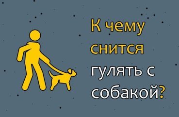 Як трактувати сон, в якому гуляєш з собакою — 10 значень