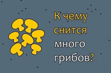 Що означає, якщо приснилося багато грибів — 30 трактувань