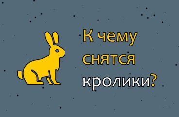 Як трактувати сон про кроликів — 50 точних значень Як трактувати сон про кроликів — 50 точних значень