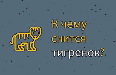 Що означає сон про тигреня   значення по 32 сонникам