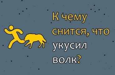 Як трактувати сон, в якому вкусив вовк   36 значень