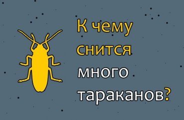 Як розшифрувати сон, в якому багато тарганів   40 значень